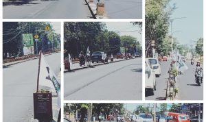 Sambut Harlah PKB ke-25 di Takalar, Kader PKB Pasang Ratusan Bendera Sepanjang 