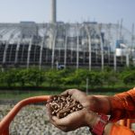 Lewat Co-Firing40 PLTU PLN Grup Mampu Turunkan Emisi Hingga 429 Ribu Ton CO2