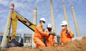 Sukses Tingkatkan Biomassa, PLN Grup Berhasil Turunkan Emisi Karbon 429 Ton CO2