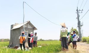 Pertanian Modern Berbasis Listrik Kian Berkembang, Program Electrifying Agriculture PLN Tumbuh 22,28 Persen