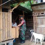 Babinsa Koramil 2302/Bojonegara, Bintahwil Pengecekan Ternak Kambing