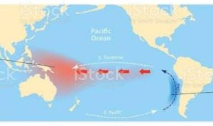 Antisipasi Dampak El Nino, Ini Kata Sam Herman