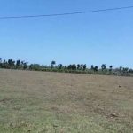 Pembebasan Lahan di Laikang, Jauh Lebih Mahal Beras Perliter, Dibanding Harga Tanah Per Meter