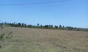 Pembebasan Lahan di Laikang, Jauh Lebih Mahal Beras Perliter, Dibanding Harga Tanah Per Meter