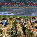 Panen Raya Sekolah Lapang Iklim (SLI) Mendukung Ketahanan Pangan di Takalar