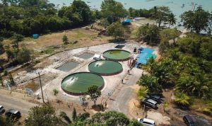 Dorong Pengembangan Potensi Desa Penghasil Udang Vaname, PLN Dukung Desa Berdaya Tanjung Rusa, Belitung