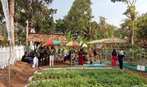 Lomba Penilaian KWT Tingkat Kecamatan, Desa Sukaraja Kirim 3 KWT