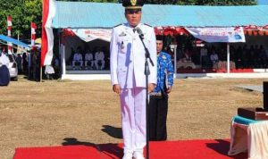 Camat Marbo Menjadi Inspektur Upacara Pada Perayaan HUT RI ke-78 di Lapangan Mangadu