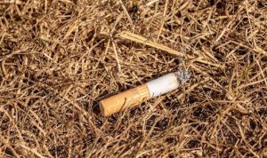 Putung Rokok dan Musim Kemarau Jadi Pemicu Karhutla di Bangka Selatan