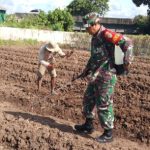 Babinsa Koramil 2304/Anyer, Bintahwil Pengelolahan Lahan