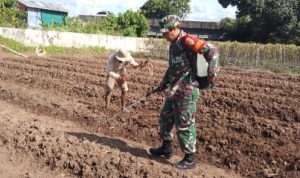 Babinsa Koramil 2304/Anyer, Bintahwil Pengelolahan Lahan