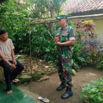 Babinsa Koramil 2306/Mancak, Komsos Membahas Tanaman Jagung