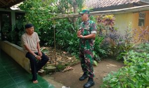 Babinsa Koramil 2306/Mancak, Komsos Membahas Tanaman Jagung