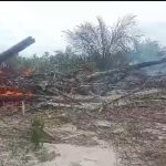 Kebun Kelapa Sawit Milik Desa Bedengung Terbakar, Diduga Ada Unsur Kesengajaan