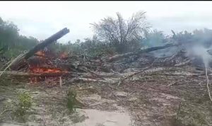 Kebun Kelapa Sawit Milik Desa Bedengung Terbakar, Diduga Ada Unsur Kesengajaan