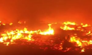 Lahan Seluas 2 Petak di Desa Bikang Terbakar Imbas Musim Kemarau