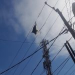 Berisiko Terdampak Gangguan Listrik, PLN Imbau Masyarakat Tidak Bermain Layangan dan Pembakaran Hutan/Lahan di Sekitar Jaringan Listrik