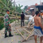Babinsa Koramil 2306/Mancak, Karbak Merapikan Pohon Tumbang