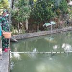 Babinsa Koramil 2304/Anyer, Bintahwil Budidaya Ikan Lele
