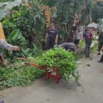 Babinsa Koramil 2305/Cinangka, Karbak Membersihkan Solokan