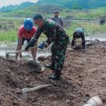 Babinsa Koramil 2303/Pulomerak, Karbak Membantu Pemadatan Jalan
