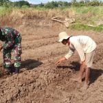 Babinsa Koramil 2304/Anyer, Bintahwil Melaksanakan Pengolahan Lahan