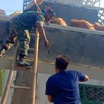 Babinsa Koramil 2306/Mancak, Karbak Merenovasi Rumah