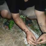 Tim Hantu Sat Resnarkoba Polres Bangka Barat Amankan Pelaku Tindak Pidana Narkotika