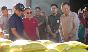 Stok Beras di Belitung Aman Hingga Akhir Tahun