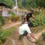 Babinsa Koramil 2306/Mancak, Bintahwil Perawatan Han Pangan