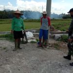 Babinsa Koramil 2304/Anyar, Komsos Membahas Tentang Penanaman Jagung