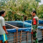 Babinsa Koramil 2302/Bojonegara, Bintahwil Pendampingan Peternak Ikan Lele