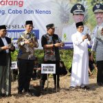 Panen Raya di Tanasitolo, Pj Gubernur Sulsel Instruksikan Jajaran Beli Cabai Di Wajo Suplai Kebutuhan Daerah Lain