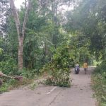 Babinsa Koramil 2306/Mancak, Karbak Pembersihan Pinggir Jalan