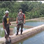 Babinsa Koramil 2304/Anyer, Bintahwil Budidaya Ikan Mas