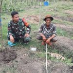 Babinsa Koramil 2302/Bojonegara, Komsos Membahas Kegiatan Kebersihan