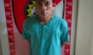 Seorang Satpam Mencuri Ratusan Buah Nanas Ditangkap Polres Lamtim