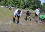 Pj Bupati Takalar Cepat Tanggap Dengarkan Curhatan Petani dan Terlibat Aktif Tanam Padi