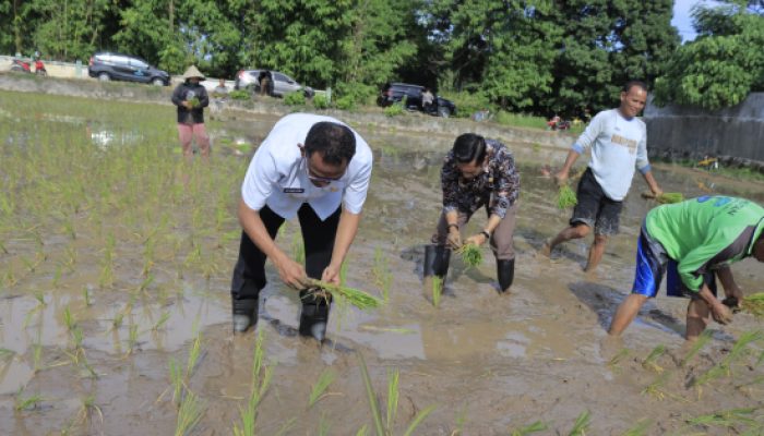Pj Bupati Takalar Cepat Tanggap Dengarkan Curhatan Petani dan Terlibat Aktif Tanam Padi