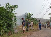 Babinsa Koramil 2303/Pulomerak, Karbak Membantu Pembersihan Jalan