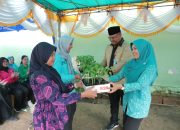 Penjabat TP PKK Babel Safriati Safrizal Lakukan Penanaman Bibit Cabai di Belitung Timur
