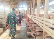 Babinsa Koramil 2302/Bojonegara, Bintahwil Penggemukan Kambing