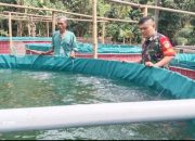 Babinsa Koramil 2304/Anyer, Bintahwil Budidaya Ikan Nila