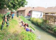 Babinsa Koramil 2303/Pulomerak, Karbak Bersama Masyarakat Pembersihan Sungai