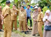 Junaedi Bakri Turun Langsung Tinjau Tiga Lokasi Penangkaran Benih Padi