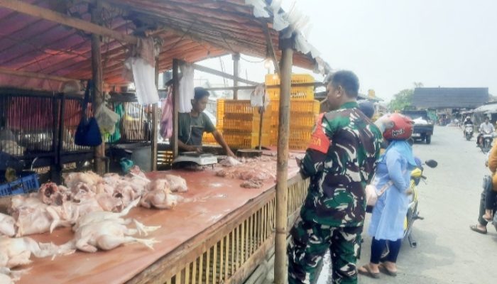 Babinsa Koramil 2302/Bojonegara, Puanter Pendataan Harga Daging Ayam