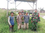Babinsa Koramil 2301/Cilegon, Puan Ter Penanaman Palawija