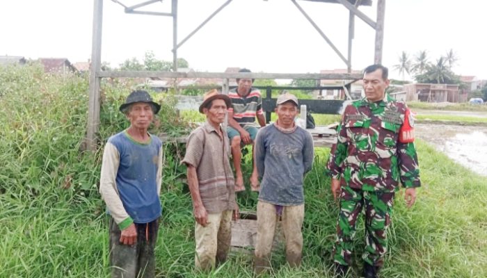 Babinsa Koramil 2301/Cilegon, Puan Ter Penanaman Palawija