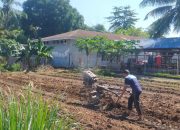 Maksimal Pembinaan, Warga Binaan Lapas Takalar Kembali Garap Lahan Pertanian