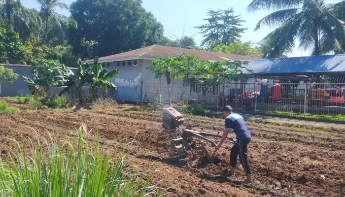 Maksimal Pembinaan, Warga Binaan Lapas Takalar Kembali Garap Lahan Pertanian